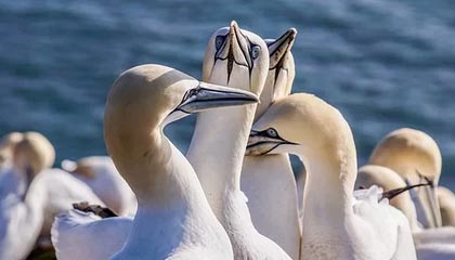 爱游戏igame-高光时刻：那些场上经典瞬间难以忘怀！，高光时刻的歌曲