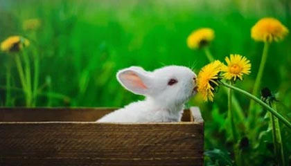 爱游戏igame-高光时刻：那些场上经典瞬间难以忘怀！，高光时刻的歌曲